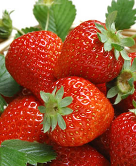 草莓帮你消脂排毒轻松瘦腰