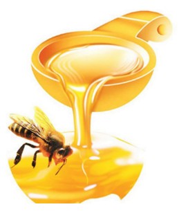 <b>哪些人群适合蜂蜜减肥 哪些人群不适合？</b>
