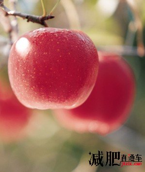 苹果真的是一种非常神奇的减肥水果