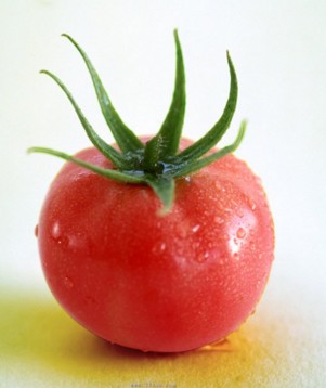 <b>炎炎夏日健康最重要 西红柿减肥是妙招</b>